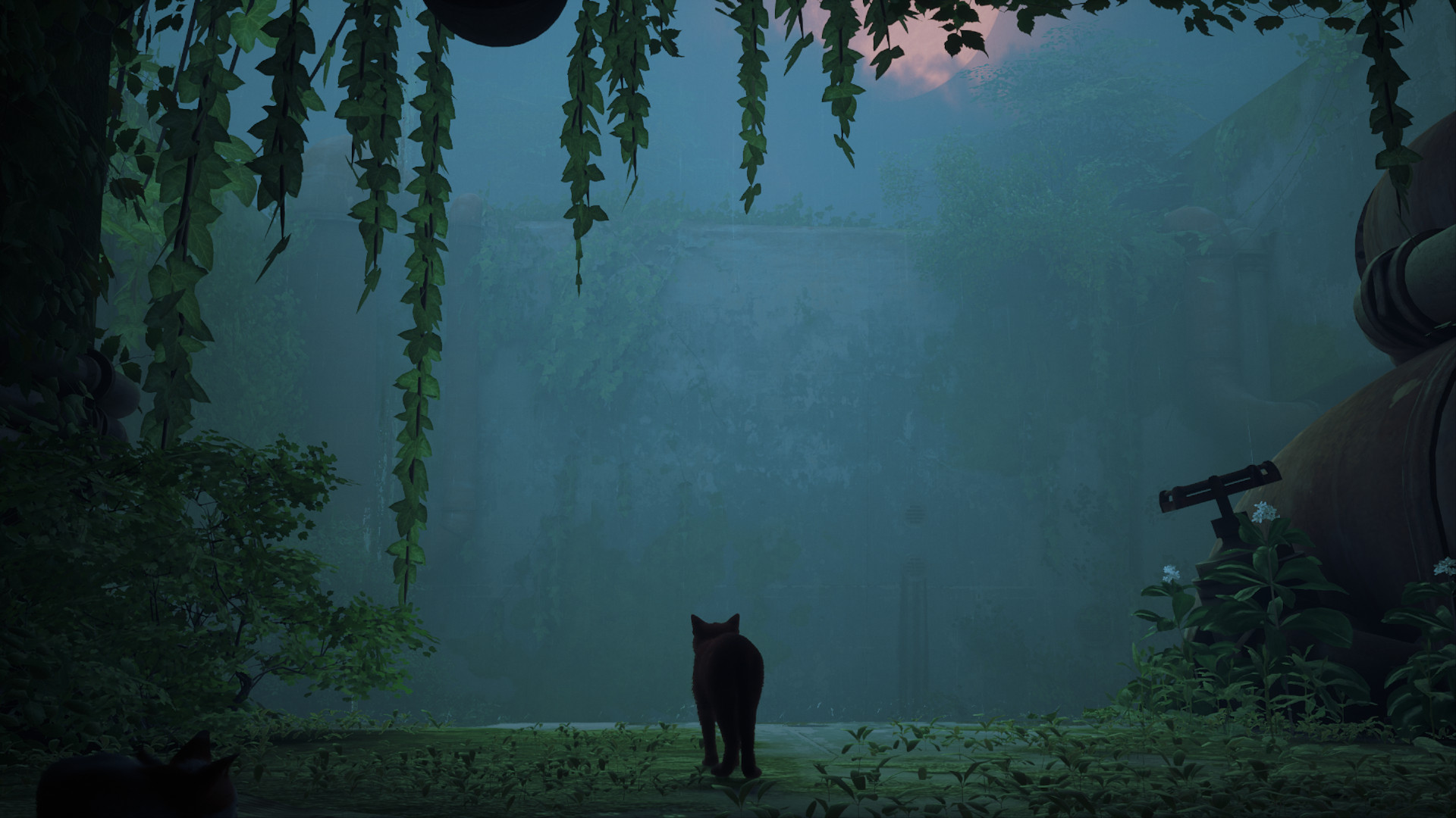 Screenshot of the beginning of the game "Stray"